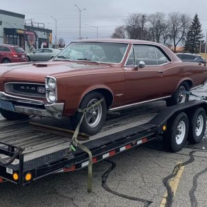 Media '1966 GTO 389 Tripower,4-speed.jpg' in album 'AIXF Stuff'